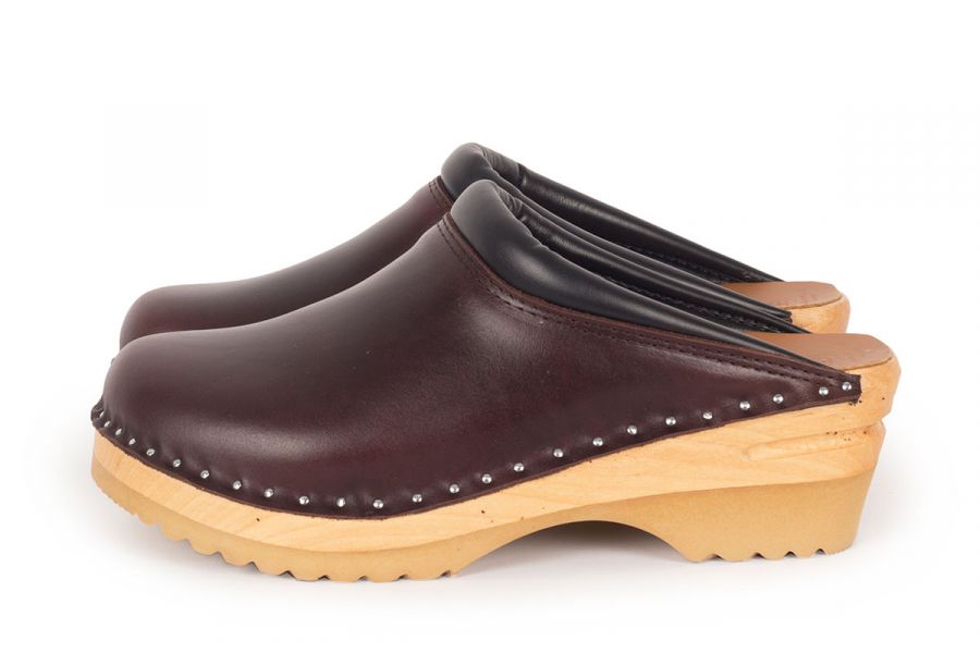 Rembrandt Brown Pull Up