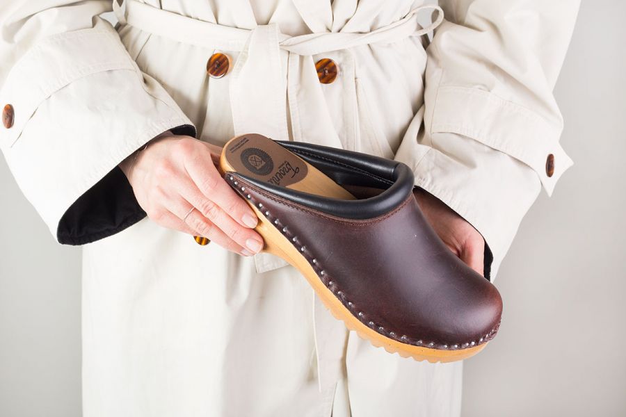 Rembrandt Brown Pull Up